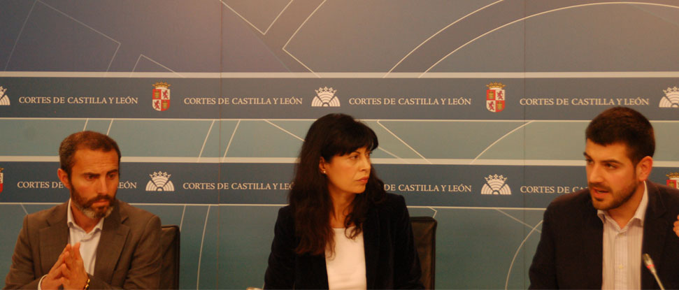 El PSOE traslada al Pleno una PNL para exigir a la Junta que reivindique la llegada del AVE en 2015 a Burgos y su conexi&oacute;n con la Y vasca