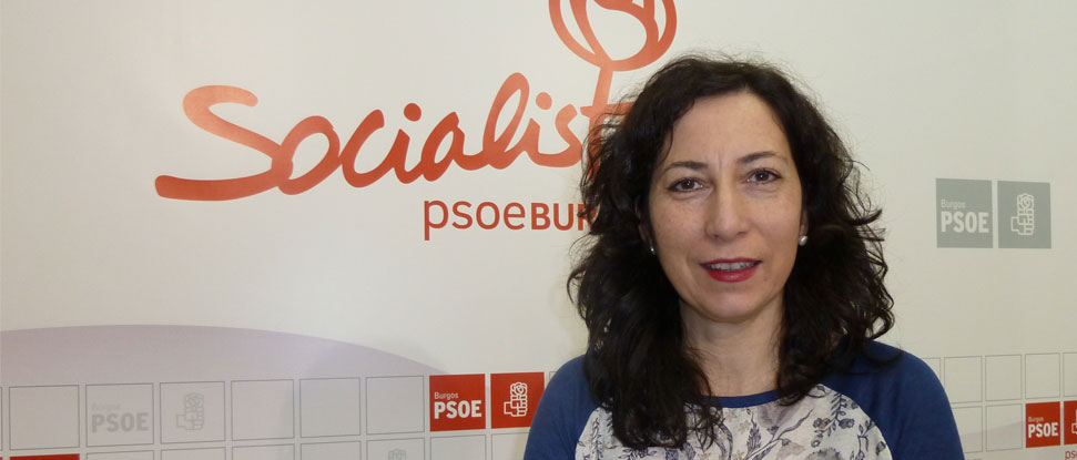 El PSOE pide al Gobierno que aclare el futuro de infraestructuras &ldquo;vitales&rdquo; como el AVE, y las A-12 y A-73