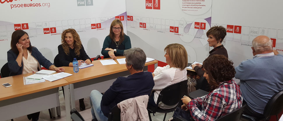 <div>Olmedo: &ldquo;La red de servicios sociales ha sido vapuleada y agredida por las pol&iacute;ticas de recortes del PP en Gobierno central y auton&oacute;mico"</div>