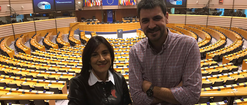 El PSOECyL rechaza posibles recortes en la pol&iacute;tica agraria o en la de cohesi&oacute;n para garantizar el futuro del sector agr&iacute;cola y ganadero de Castilla y Le&oacute;n