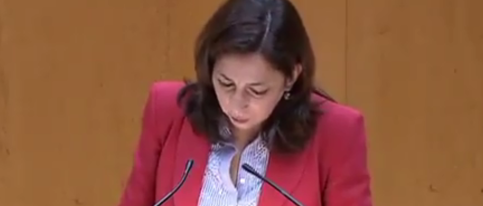 Arnaiz se queja en el Senado de la falta de asistencia presencial sanitaria en Castilla y León durante la pandemia Arnaiz se queja en el Senado de la falta de asistencia presencial sanitaria en Castilla y León durante la pandemia