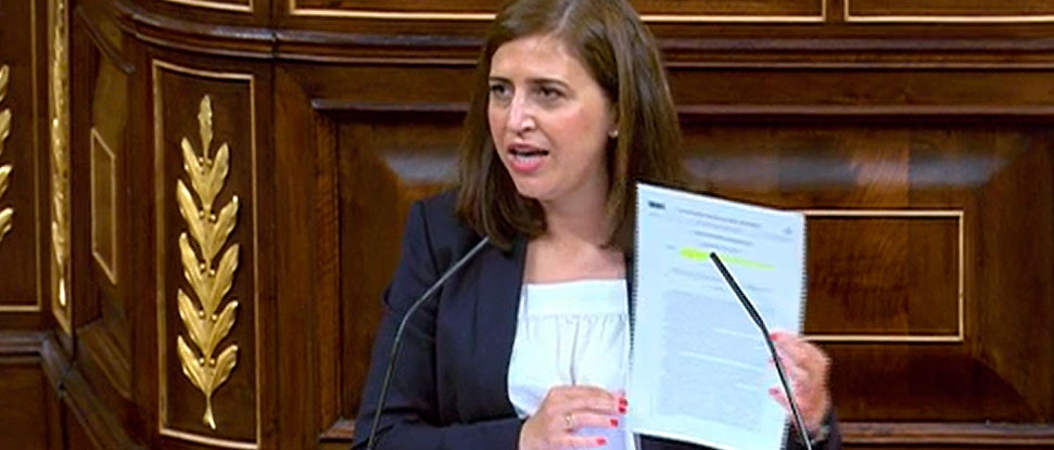 Pe&ntilde;a pide al PP menos fotos en Col&oacute;n y m&aacute;s apoyo a las medidas que han protegido a 51.000 trabajadores durante la covid en Burgos