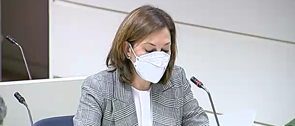 El Senado aprueba estudiar ayudas económicas para la comarca burgalesa de Pinares por su absorción de CO2 El Senado aprueba estudiar ayudas económicas para la comarca burgalesa de Pinares por su absorción de CO2