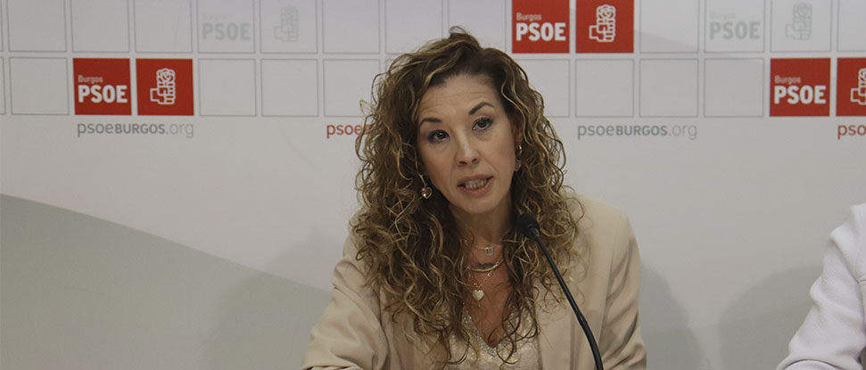 El PSOE presenta una PNL para exigir a la Junta de Castilla y León el arreglo de la BU-825 