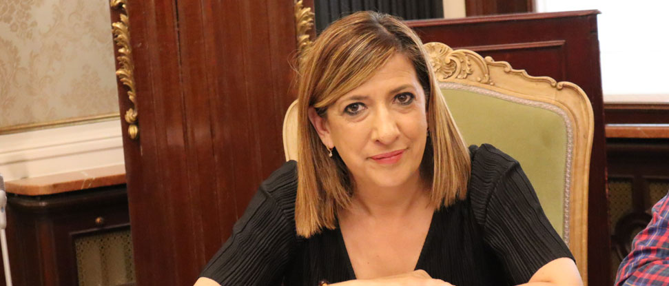 La Diputación aprueba la proposición del PSOE para instar a la Junta a ordenar y limitar la instalación de parques fotovoltaicos en zonas agrícolas y de especial protección