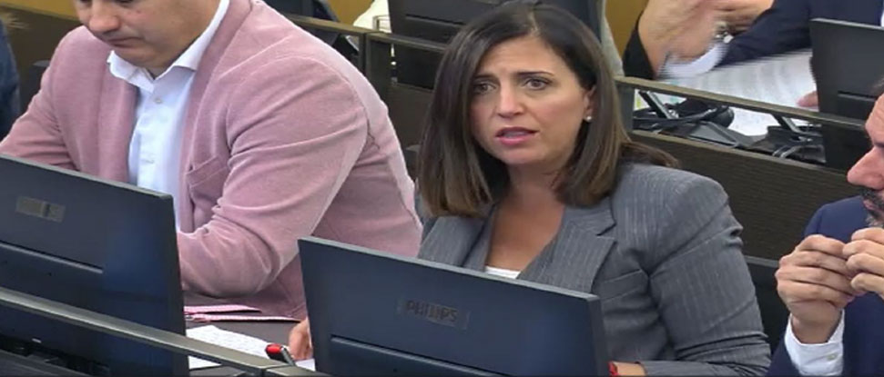 Peña destaca que el ramal ferroviario de Olmedo sitúa a Burgos como nodo estratégico del norte